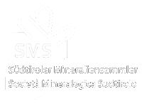 SMS Logo (white)